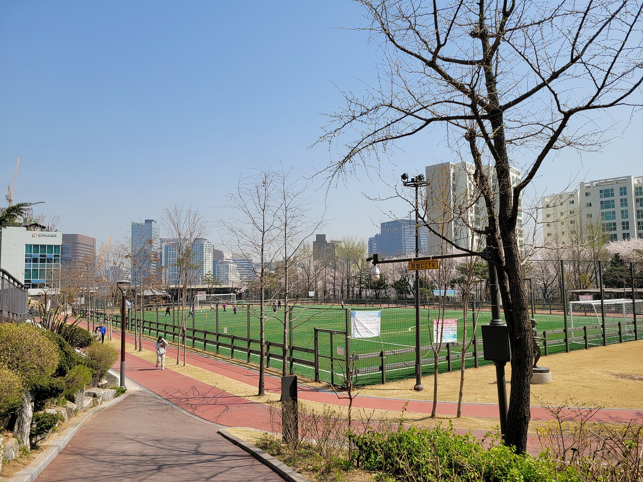 最好选择 最好选择