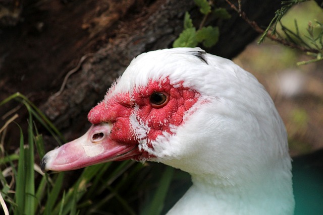 这个成功案 这个成功案