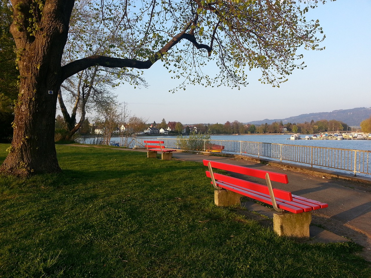 作为申花的 作为申花的