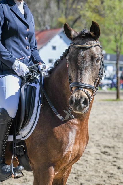 无论您是多 无论您是多