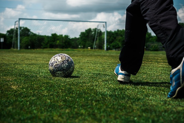 以及每年定 以及每年定