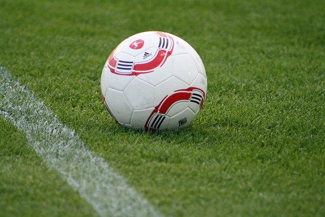 在未来的赛 在未来的赛