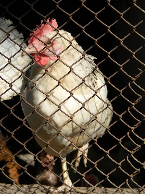 教练团队支 教练团队支