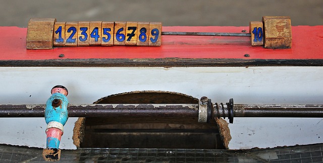 张本智和 张本智和