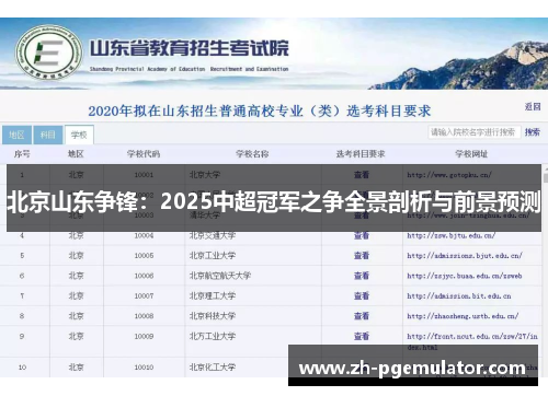 北京山东争锋：2025中超冠军之争全景剖析与前景预测
