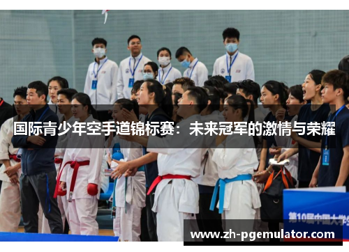 国际青少年空手道锦标赛：未来冠军的激情与荣耀
