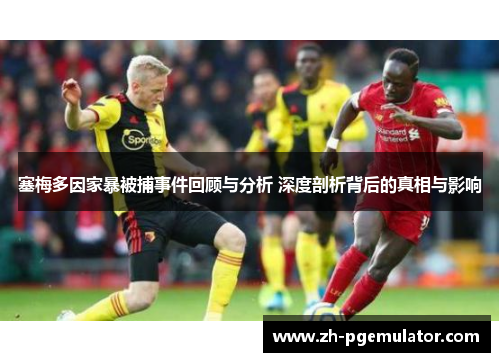 塞梅多因家暴被捕事件回顾与分析 深度剖析背后的真相与影响