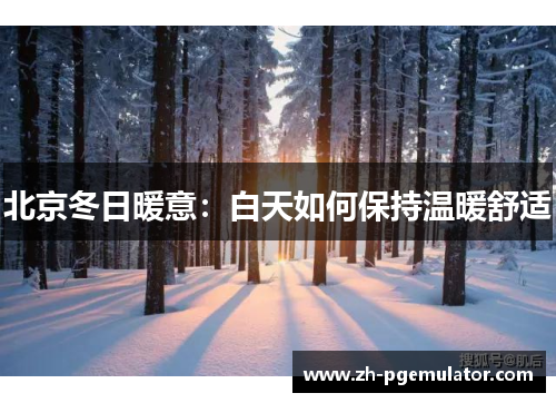 北京冬日暖意：白天如何保持温暖舒适