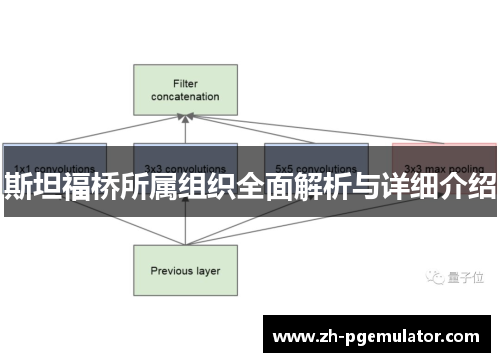 斯坦福桥所属组织全面解析与详细介绍